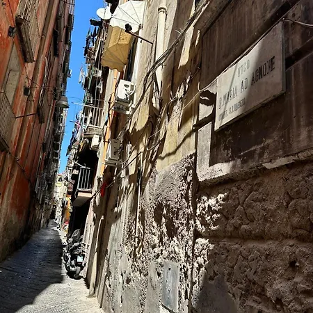 Appartement Hv Decumanus Napels